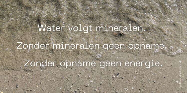 Mineralen belangrijk opname water en energie (1)