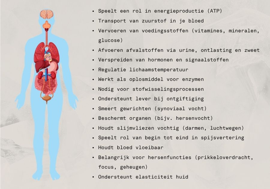 werkingen water lichaam